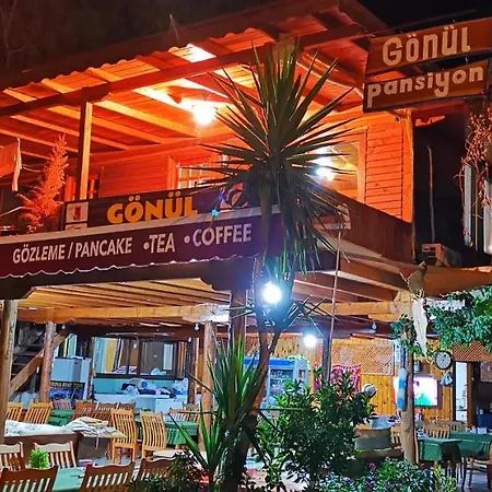 Gonul Homestay szállás *