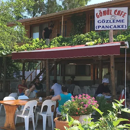 Gonul Kaleucagiz